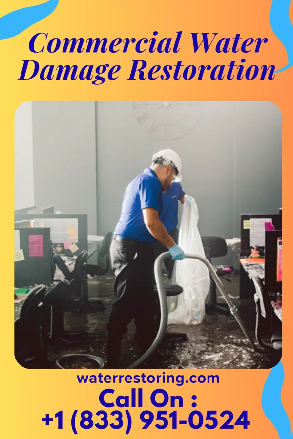 Commercial Water Damage Restoration in Winlock, WA