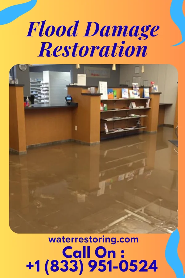Flood Damage Restoration in Winlock, WA