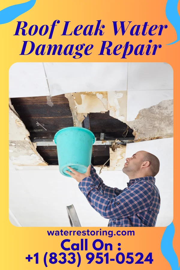 Roof Leak Water Damage Repair in Winlock, WA