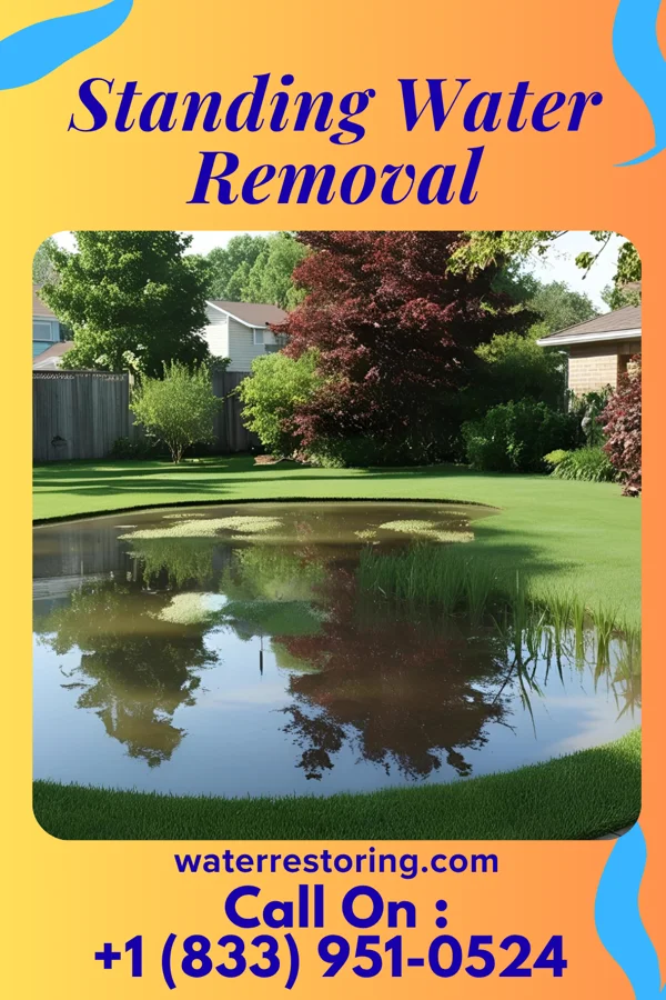 Standing Water Removal in Winlock, WA
